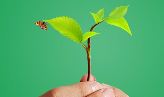 西安市殯儀館三兆公墓