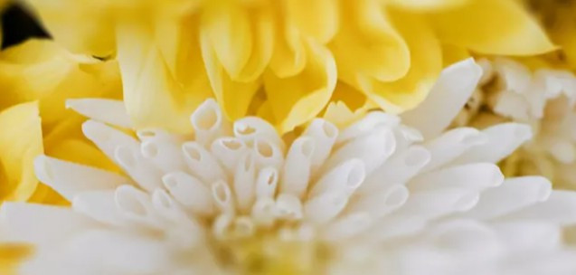 優(yōu)質(zhì)墓園推薦指南_西安公墓選址全攻略