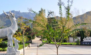 雙墓地西安多錢(qián)