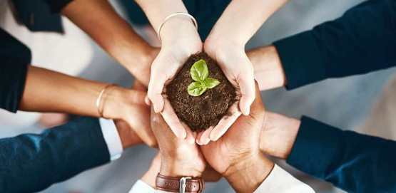 西安壽陽(yáng)山墓園和高橋墓園