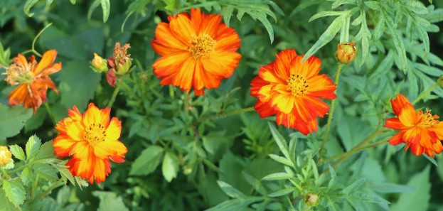 西安霸陵墓園提供哪些服務(wù)項(xiàng)目呢