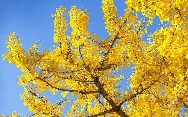 西安霸陵新區(qū)公墓價格-霸陵新區(qū)的墓地怎么樣?-霸陵墓園