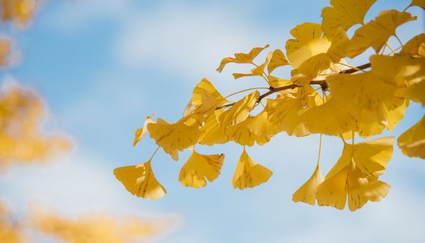 西安的墓地在哪里