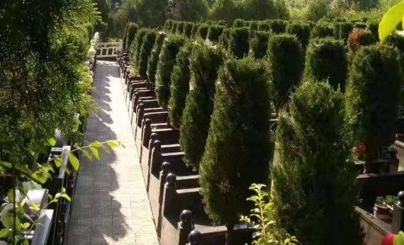 怎么去壽陽(yáng)山墓園