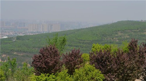 西安霸陵墓園新區(qū)價(jià)格多少-西安霸陵墓園新區(qū)價(jià)格查詢及全方位分析