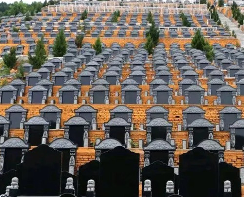 西安鳳棲山開放嗎