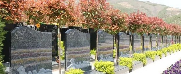 西安霸陵墓園新區(qū)有哪些服務(wù)項(xiàng)目