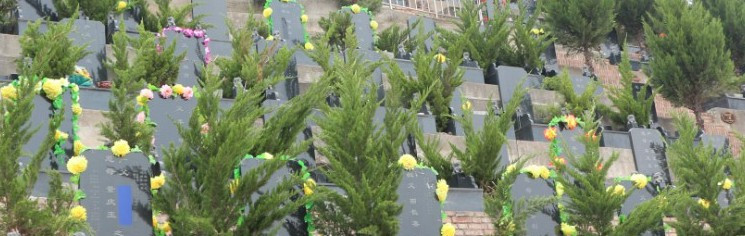 西安墓地到期收費公告-西安墓地續(xù)費公告