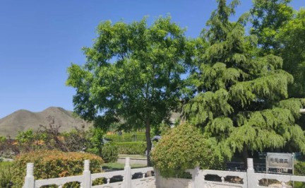 九龍山墓地雙人墓多少錢_西安九龍山墓園電話