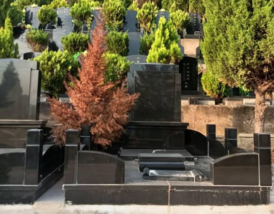 西安買雙人墓地大概多少錢_西安一般公墓多少錢一個(gè)