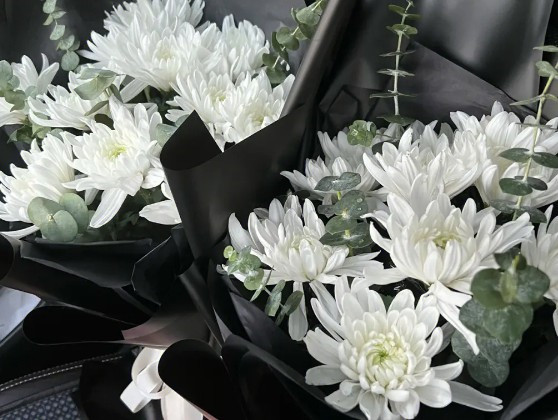 鳳棲山墓園墓碑價(jià)格表