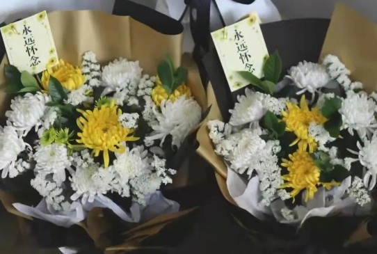 到長安慈恩園有哪些公交路線?