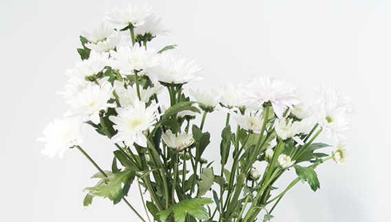 西安漢陵墓園怎么樣？