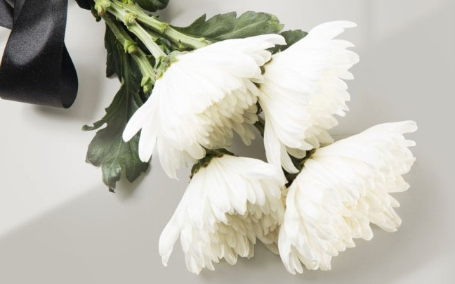 西安棗園山公墓電話號碼