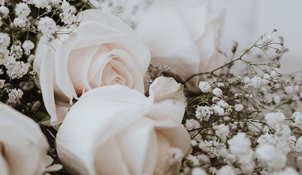 西安霸陵墓園新區(qū)幾點(diǎn)能開門啊