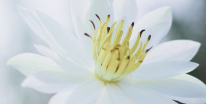 西安壽陽山墓園下葬時(shí)間-西安壽陽山墓園下葬時(shí)間靜謐舒適環(huán)境