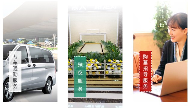 西安墓地發(fā)掘-西安墓地發(fā)掘: 古代人類文化之瑰寶