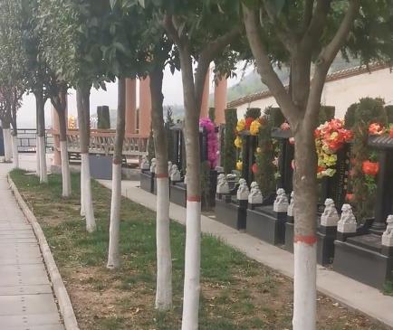 西安霸陵新區(qū)寶玉園，視野開(kāi)闊，綠樹(shù)成蔭！