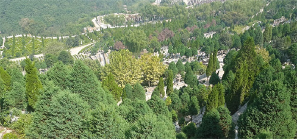 陜西西安壽陽山墓園怎么樣？