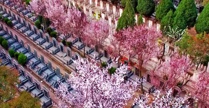 西安鳳棲山墓園北區(qū)可乘坐、路公交車抵達(dá)