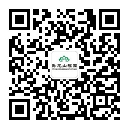 臥龍山福園公眾號-預(yù)約、祭奠、代客祭掃